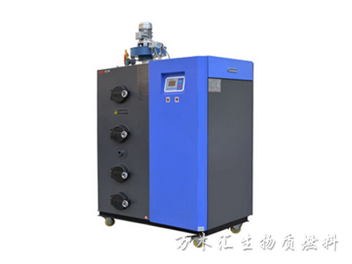 200KG生物質蒸汽發生器